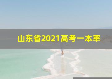 山东省2021高考一本率