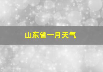 山东省一月天气