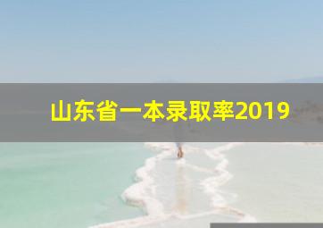 山东省一本录取率2019