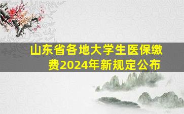 山东省各地大学生医保缴费2024年新规定公布