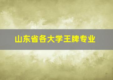 山东省各大学王牌专业