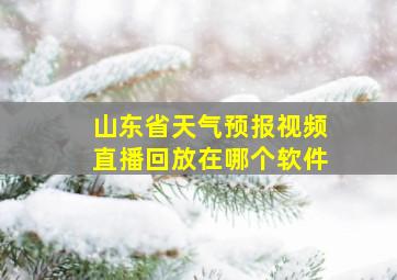 山东省天气预报视频直播回放在哪个软件