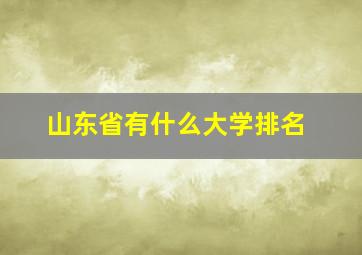 山东省有什么大学排名