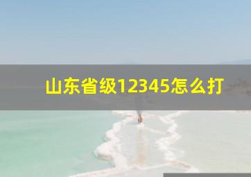 山东省级12345怎么打