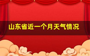 山东省近一个月天气情况