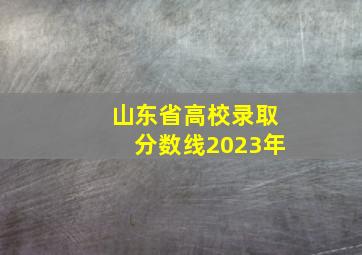 山东省高校录取分数线2023年