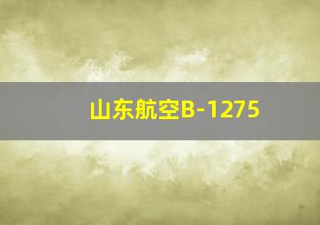 山东航空B-1275