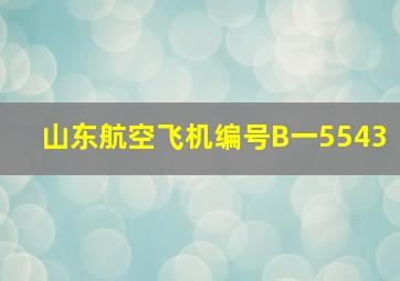 山东航空飞机编号B一5543