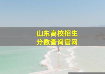 山东高校招生分数查询官网