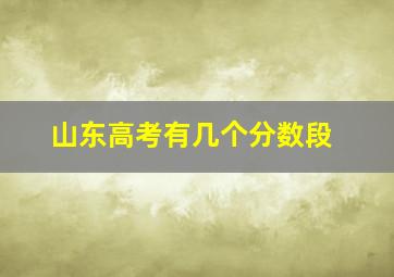 山东高考有几个分数段