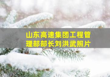 山东高速集团工程管理部部长刘洪武照片