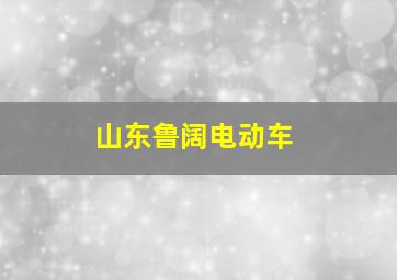 山东鲁阔电动车