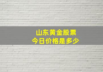 山东黄金股票今日价格是多少