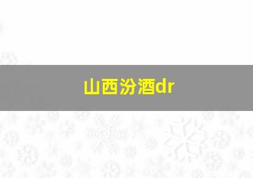 山西汾酒dr