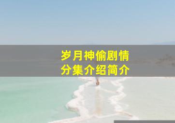 岁月神偷剧情分集介绍简介