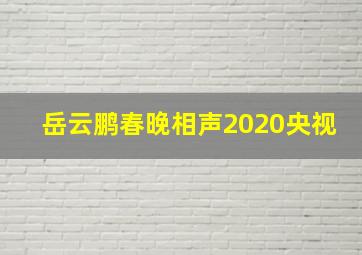 岳云鹏春晚相声2020央视