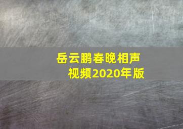 岳云鹏春晚相声视频2020年版