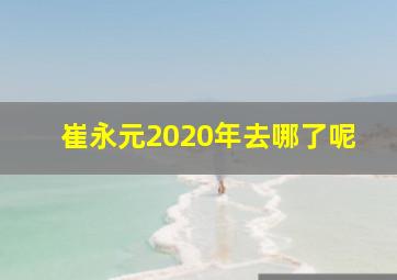 崔永元2020年去哪了呢