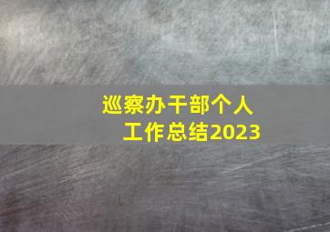 巡察办干部个人工作总结2023