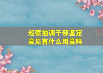 巡察抽调干部鉴定意见有什么用意吗