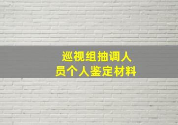 巡视组抽调人员个人鉴定材料