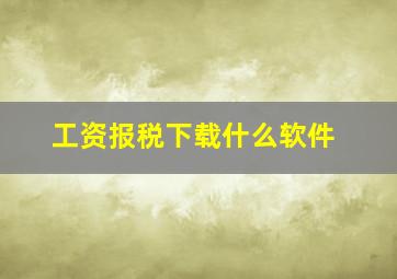 工资报税下载什么软件