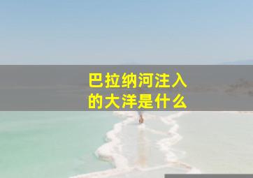 巴拉纳河注入的大洋是什么