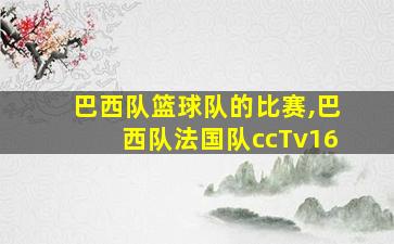 巴西队篮球队的比赛,巴西队法国队ccTv16