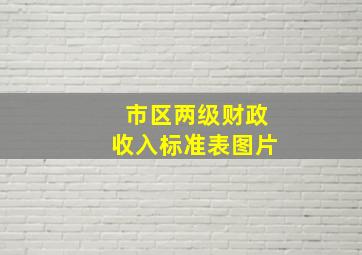 市区两级财政收入标准表图片