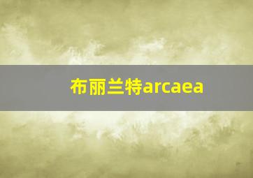 布丽兰特arcaea