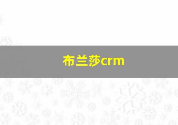 布兰莎crm