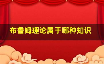 布鲁姆理论属于哪种知识