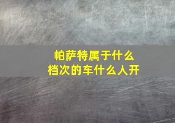 帕萨特属于什么档次的车什么人开