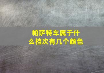 帕萨特车属于什么档次有几个颜色