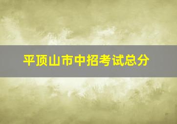 平顶山市中招考试总分