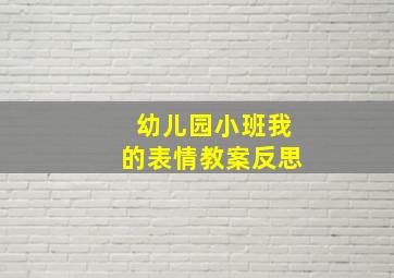 幼儿园小班我的表情教案反思