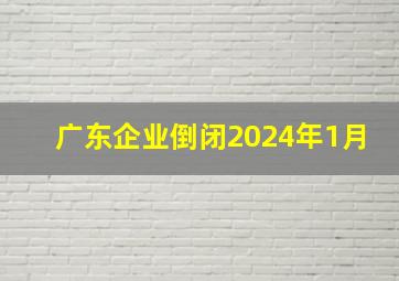 广东企业倒闭2024年1月