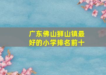 广东佛山狮山镇最好的小学排名前十