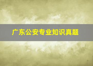 广东公安专业知识真题