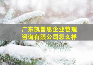 广东凯普思企业管理咨询有限公司怎么样