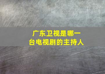 广东卫视是哪一台电视剧的主持人