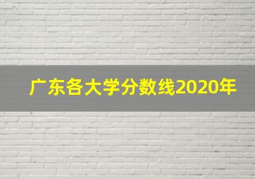 广东各大学分数线2020年