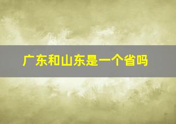 广东和山东是一个省吗