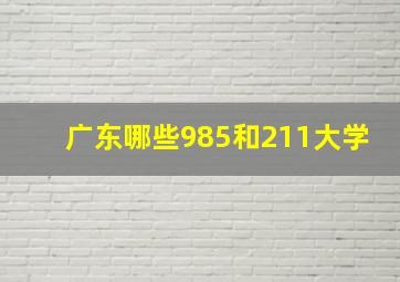 广东哪些985和211大学