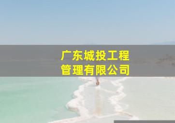 广东城投工程管理有限公司