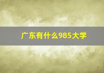 广东有什么985大学