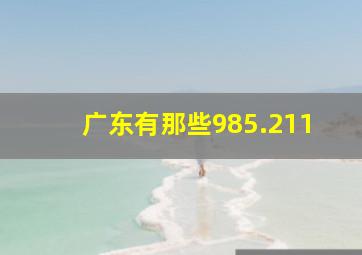 广东有那些985.211