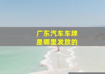 广东汽车车牌是哪里发放的