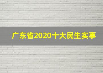 广东省2020十大民生实事