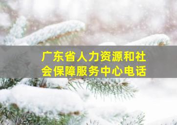 广东省人力资源和社会保障服务中心电话